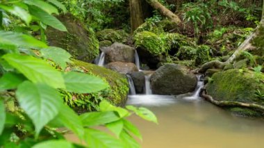 Phuket Tayland 'daki güzel yağmur ormanlarında Küçük Şelale' ye uzun süre maruz kalmak. Güzel doğa ağaçları.