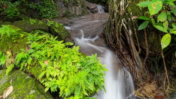 Продолжительная Экспозиция Малого Водопада Красивых Тропиках Пхукете Таиланд Природный Ландшафт — стоковое видео