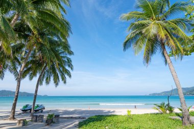 Patong Sahili 'nin etrafında palmiye ağaçları olan Phuket Adası Tayland' da Phuket Patong Patong Plajı yaz mevsiminde mavi gökyüzü arka planına sahip güzel tropik plaj.