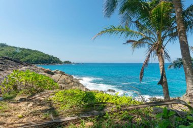Hindistan cevizi palmiyesi yaprağı çerçevesi ile yaz deniz kıyısı inanılmaz açık mavi gökyüzü ve beyaz bulutlar deniz kıyısı ağaç yapraklarına çarpıyor.