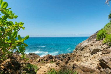 Ağaçlar yaprak çerçevesi Yaz deniz kıyısı ile İnanılmaz açık mavi gökyüzü ve beyaz bulutlar Deniz kıyısı ağaç yapraklarına çarpıyor