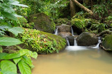 Yağmur ormanlarındaki küçük güzel şelale bereketli ağaçlarda uzun süre hareketli su bulanıklığı
