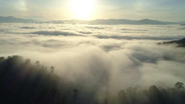 Удивительное Море Тумана Течет Над Горой Восход Закат Неба Туман — стоковое видео