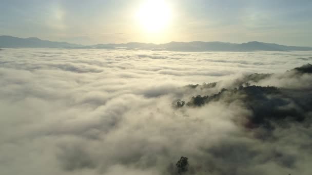 山の上を流れる霧の驚くべき海日の出や日没の空霧風光明媚な空中ビュー 黄金の太陽の下で日の出に雲と霧 — ストック動画