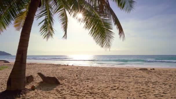 Gyönyörű Kókuszpálmafák Tengerparton Phuket Thaiföld Patong Strand Szigetek Palms Óceánon — Stock videók