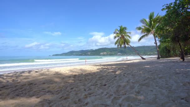 Schöne Kokospalmen Strand Phuket Thailand Patong Beach Islands Palmen Meer — Stockvideo