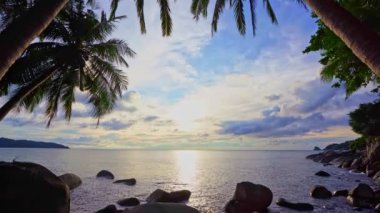 Okyanus kıyısındaki Phuket Tayland 'daki Hindistan cevizi palmiyeleri. Okyanus kıyısındaki güzel deniz feneri adaları. Mavi gökyüzünde palmiye koruluğu İnanılmaz yaz gökyüzü deniz manzarası