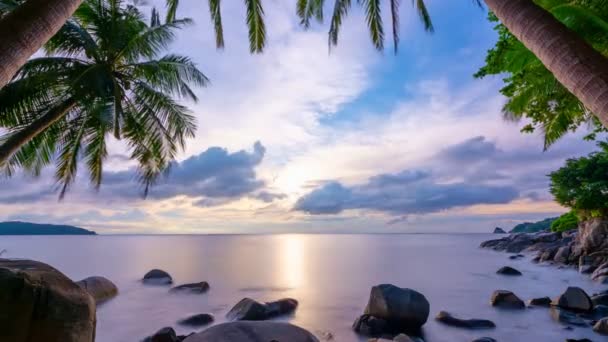 Timelapse Coconut Palm Frame Sea Ashore Phuket Tajlandia Piękne Morskie — Wideo stockowe