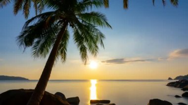 Siluet hindistan cevizi palmiyeleri ve güzel günbatımı gökyüzü deniz üzerinde inanılmaz açık doğa rengarenk manzara güzel doğa gökyüzü ve bulutlar 9-2021 Phuket adasında deniz manzarası