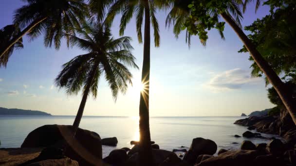 Silhouette Cocotiers Coucher Soleil Lever Soleil Ciel Sur Mer Incroyable — Video