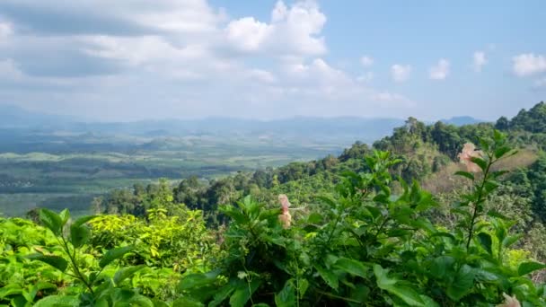 Berg Zeitraffer Weiße Wolken Ziehen Über Die Berge Schöne Blume — Stockvideo