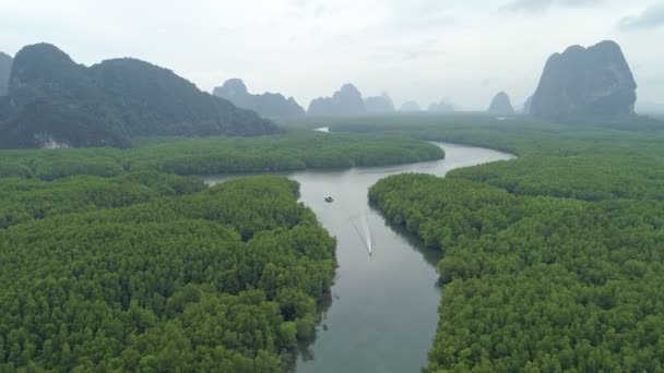Longtail Boot Rivier Tropical Mangroves Bos Verbazingwekkend Overvloedig Bos Thailand — Stockvideo