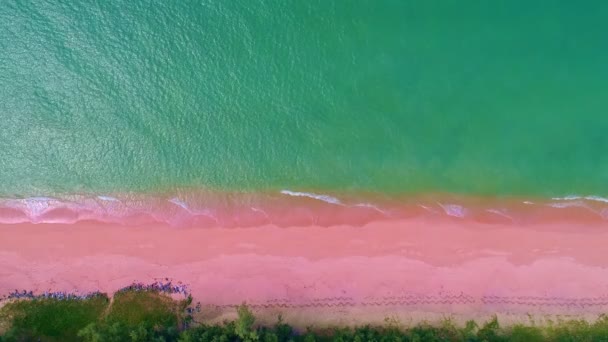 Niesamowity Różowy Piaszczysta Plaża Zielonym Oceanem Woda Fale Rozbija Się — Wideo stockowe