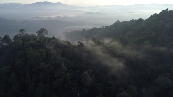 Widok Lotu Ptaka Drone Przelatujące Przez Mgłę Nad Szczytem Góry — Wideo stockowe