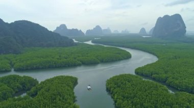 Tropikal Mangrovlar Ormanı Tayland 'da inanılmaz bereketli bir orman Güzel manzara doğa manzarası