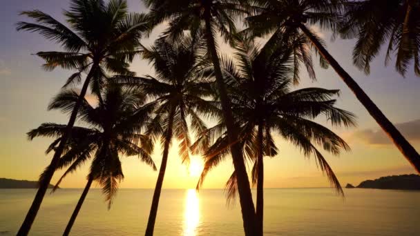 Silhouet Kokosnoot Palmbomen Prachtige Zonsondergang Hemel Boven Zee Verbazingwekkend Licht — Stockvideo
