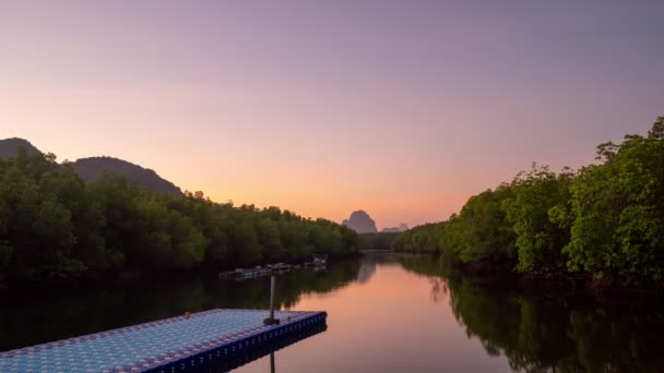 Verbazingwekkend Licht Zonsopgang Wolken Tijd Verval Silhouet Van Mangrovebomen Met — Stockvideo