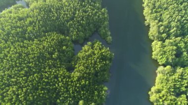 Sabahın ilk ışıklarındaki güzel gündoğumu gökyüzünün hava görüntüsü Drone deniz ve mangrov ormanları üzerinde uçuyor Yüksek açı manzarası Dinamik hava görüntüsü inanılmaz doğa manzarası