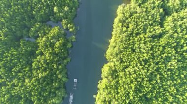 Sabahın ilk ışıklarındaki güzel gündoğumu gökyüzünün hava görüntüsü Drone deniz ve mangrov ormanları üzerinde uçuyor Yüksek açı manzarası Dinamik hava görüntüsü inanılmaz doğa manzarası