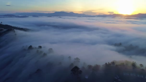 朝の日の出に美しい日の出の空の空中ビュードローンドローンは海と霧や霧の上を飛んでいます — ストック動画