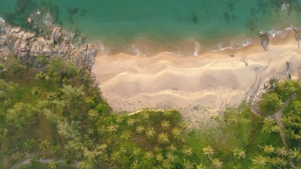 热带海域有椰子树的俯瞰海滩暑假旅游理念美丽的日落或日出时间无人机相机高角镜高质量 — 图库视频影像