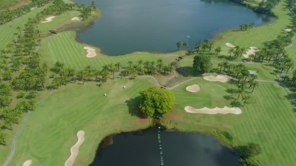 Vista Aerea Del Campo Golf Con Mettere Erba Verde Alberi — Video Stock