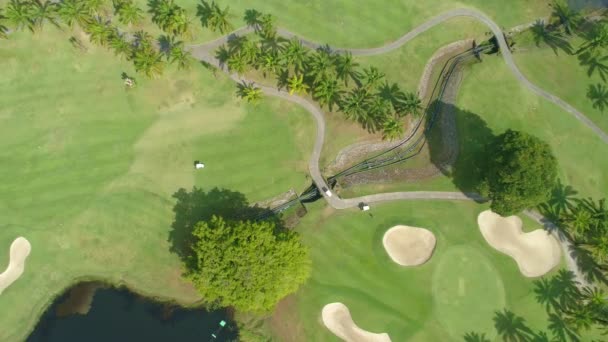 코스를 공중에서 수있는 잔디와 나무를 골프장 웨이에 배치하고 위에서 바라보는 — 비디오