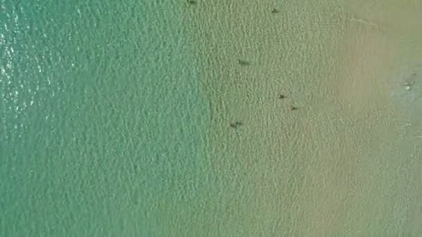 美丽的热带海砂海滩的空中摄像无人驾驶相机和海浪从上方拍打着沙滩美丽的海面在普吉岛的天真海滩是著名的旅游胜地 — 图库视频影像