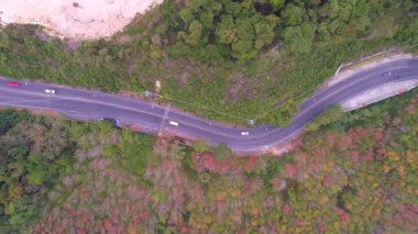 Sonbahar sezonunda ormandaki dağ yolunun havadan görünüşü Kavisli yolun insansız hava aracı manzarası kıvrımlı yol manzarası Güzel ağaçlar seyahat ediyor Asya Phuket Tayland