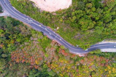 Sonbahar sezonunda ormandaki dağ yolunun havadan görünüşü eğri yol dronundan eğri yol manzarası sonbaharda turuncu yapraklı güzel ağaçlar Phuket Tayland seyahati