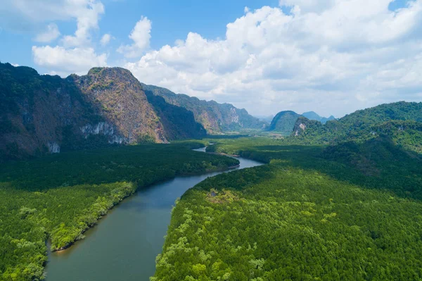 Flygvy Drone Shot Vackra Naturliga Landskap Floden Mangrove Skog Och — Stockfoto