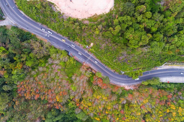 Letecký Pohled Horskou Silnici Lese Podzimní Sezóně Top Pohled Dronu — Stock fotografie