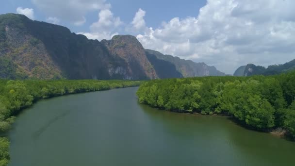 Erstaunlich Reichlich Mangrovenwald Und Kokospalmen Luftaufnahme Von Waldbäumen Ökosystem Regenwald — Stockvideo