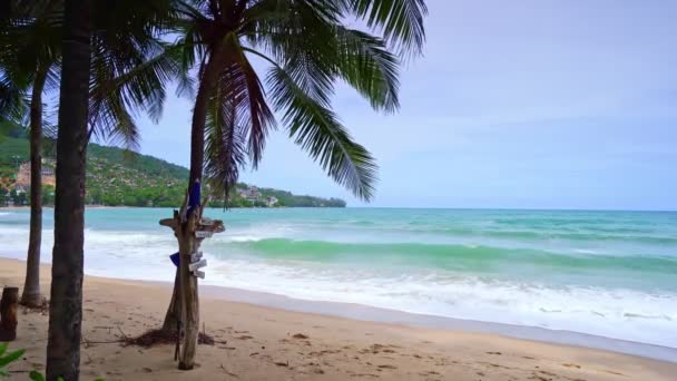 ビーチでヤシの木プーケットタイカマラビーチ諸島ヤシの葉白い砂浜の海岸の空とビーチでヤシの木夏の風景素晴らしい背景 — ストック動画