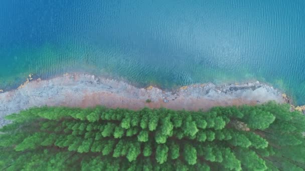 Hava Manzaralı Göl Gölet Güneşli Güzel Bakir Doğanın Muhteşem Manzarası — Stok video