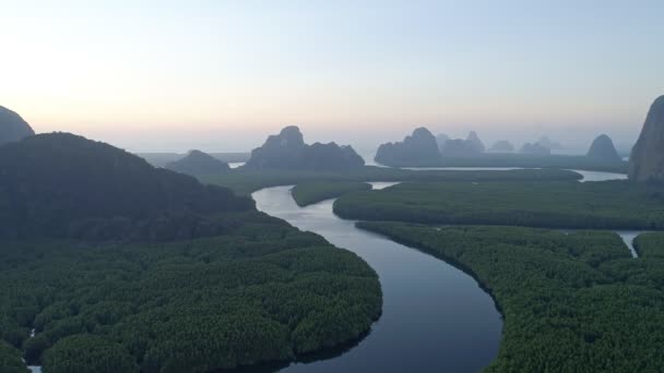 Vista Aérea Drone Disparo Hermoso Paisaje Natural Río Bosque Manglares — Vídeo de stock