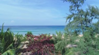Okyanus manzarası Andaman 'da yaz günü kumlu sahilde yeşil palmiye ağaçları dalgalanıyor. Palmiye ağaçları, Tayland Phuket Adası' nın en üst manzarası.