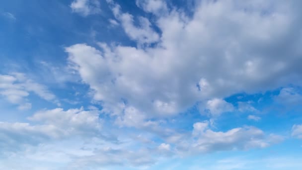 Niebieskie Niebo Białe Chmury Puffy Puszyste Białe Chmury Cumulus Chmura — Wideo stockowe