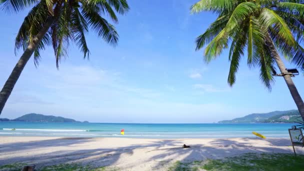 Sahilde Güzel Hindistan Cevizi Palmiyeleri Phuket Tayland Patong Plaj Adaları — Stok video