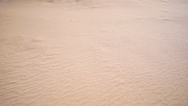 Текстура Песка Пляже Волнистый Песок Фоне Текстуры Песка — стоковое видео