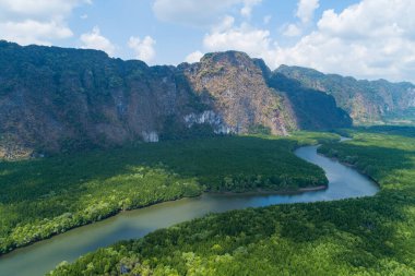 Mangrov orman ve phang nga eyaleti Tayland yüksek dağlarda güzel doğal sahne nehir havadan görünümü drone çekim