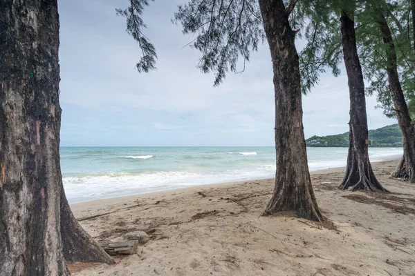 Phuket Beach Sommar Strand Med Tallar Runt Phuket Thailand Vacker — Stockfoto