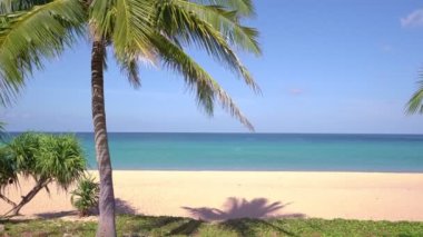 Hindistan cevizi palmiyeleri ile muhteşem Phuket plajı Tayland manzarası kumsal denizi ve açık mavi gökyüzü yaz mevsiminde Karon Sahili Phuket Tayland 'da