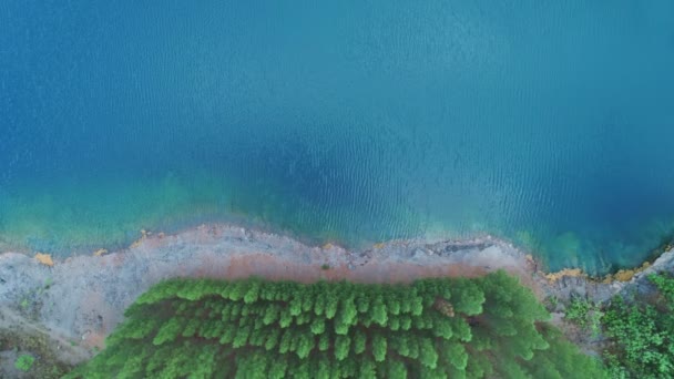 空中观看湖泊或池塘在阳光充足的好天气里美丽的新鲜而原始的自然美景无人机拍摄的高质量视频俯瞰美丽的水面 — 图库视频影像