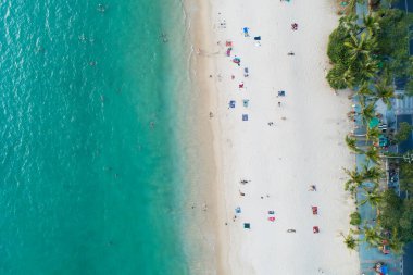 Hindistan cevizi palmiye ağaçlarının tepesinden aşağıya güzel patong plajı Phuket Tayland inanılmaz deniz kumsalı ve turist gezisi yeri andaman denizi üzerinde Güzel ada