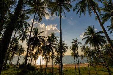 Gün batımında hindistan cevizi palmiyesi ağaçları ya da gün doğumunda deniz üzerinde gökyüzü inanılmaz hafif doğa rengarenk manzara güzel aydınlık gökyüzü ve bulutlar
