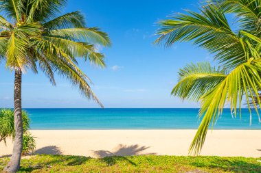 Hindistan cevizi palmiyeleri ile muhteşem Phuket plajı Tayland manzarası kumsal denizi ve açık mavi gökyüzü yaz mevsiminde Karon Sahili Phuket Tayland 'da