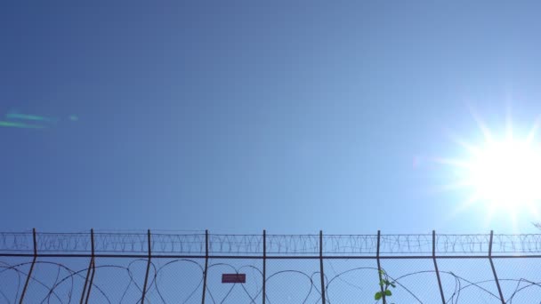 Aereo Atterraggio Cielo Azzurro Chiaro Sfondo Volare Sopra Testa Concetto — Video Stock