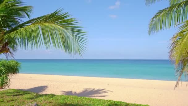 Krásné Kokosové Palmy Pláži Phuket Thajsko Úžasná Mořská Pláž Ostrovy — Stock video