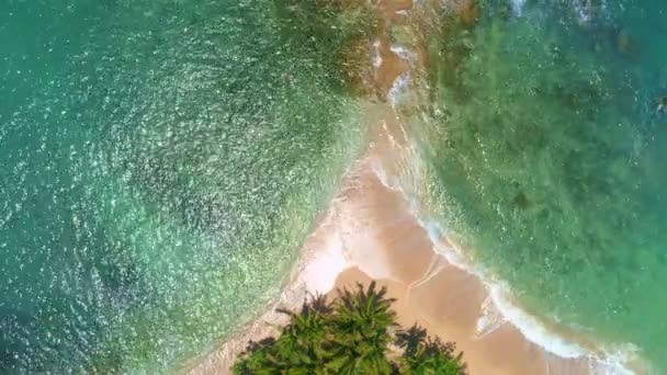 Vue Aérienne Drone Caméra Vue Dessus Plage Mer Avec Cocotiers — Video